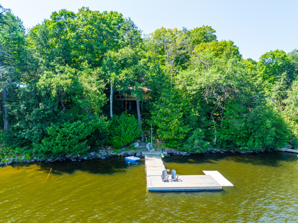A dock extends into a lake from the shore. Higher up on the shore, surrounded by trees, is a cottage.