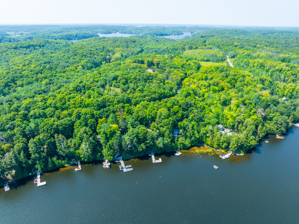Docks and cottages line the shoreline of a lake.
