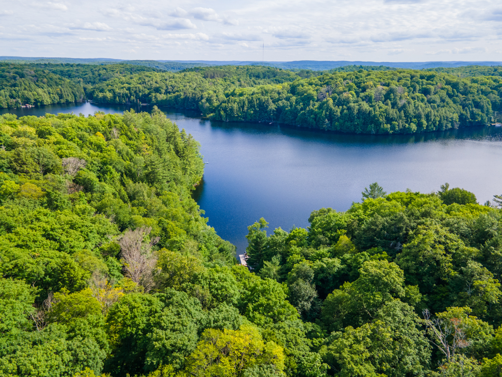 Overhead view of an angular, blue lake surrounded by land with lush green trees.