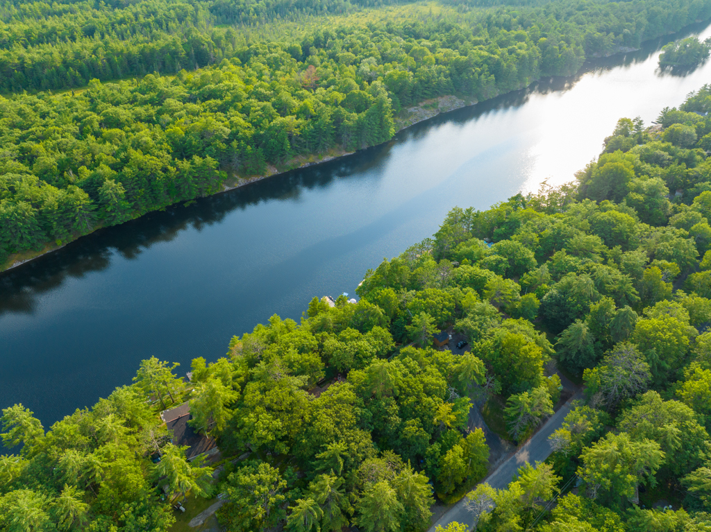 Overhead view of a narrow stretch of lake, with green trees on either side.