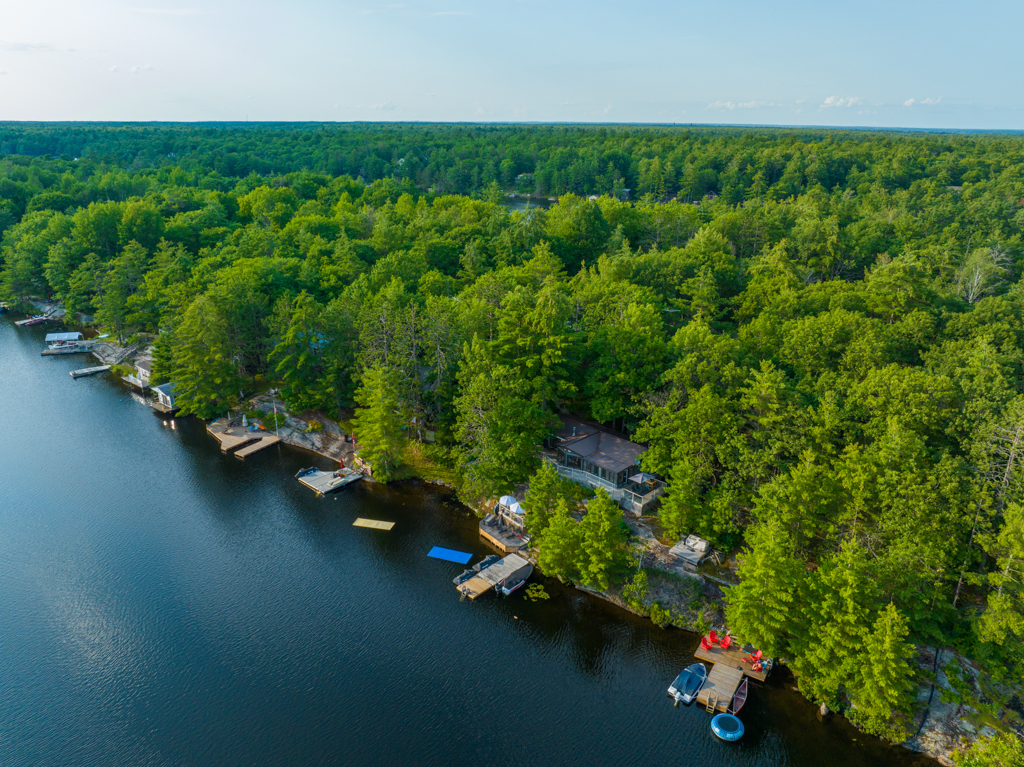 A stretch of shoreline along a lake, with cottages lining the shore.