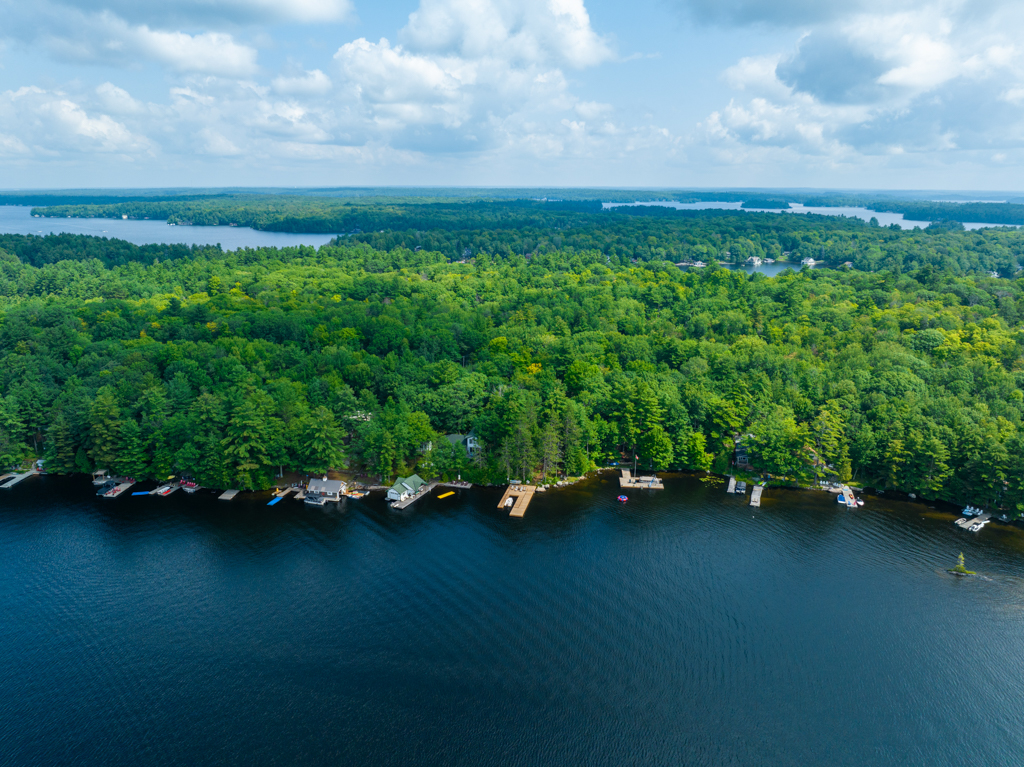 A lake shoreline with cottages along the shore and plenty of green trees.