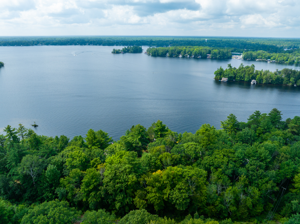 Overhead view of land with green trees and a blue lake.
