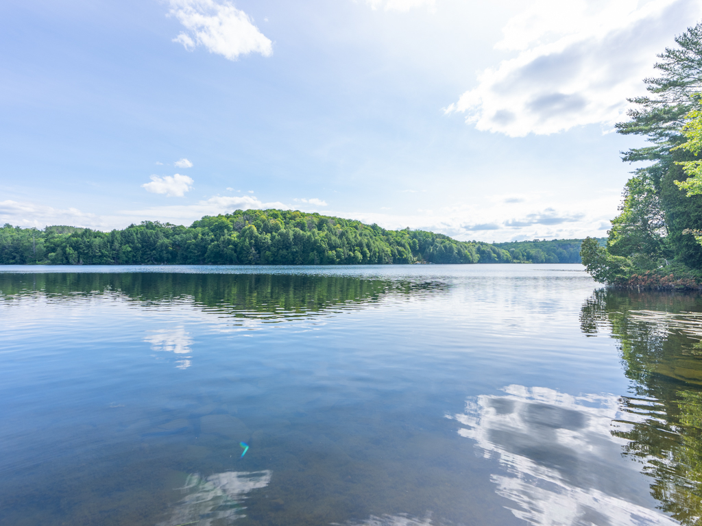 A calm lake on a sunny day, with a reflective surface.