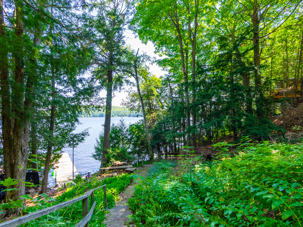 Greenery surrounds a sloping path down to a lakefront.