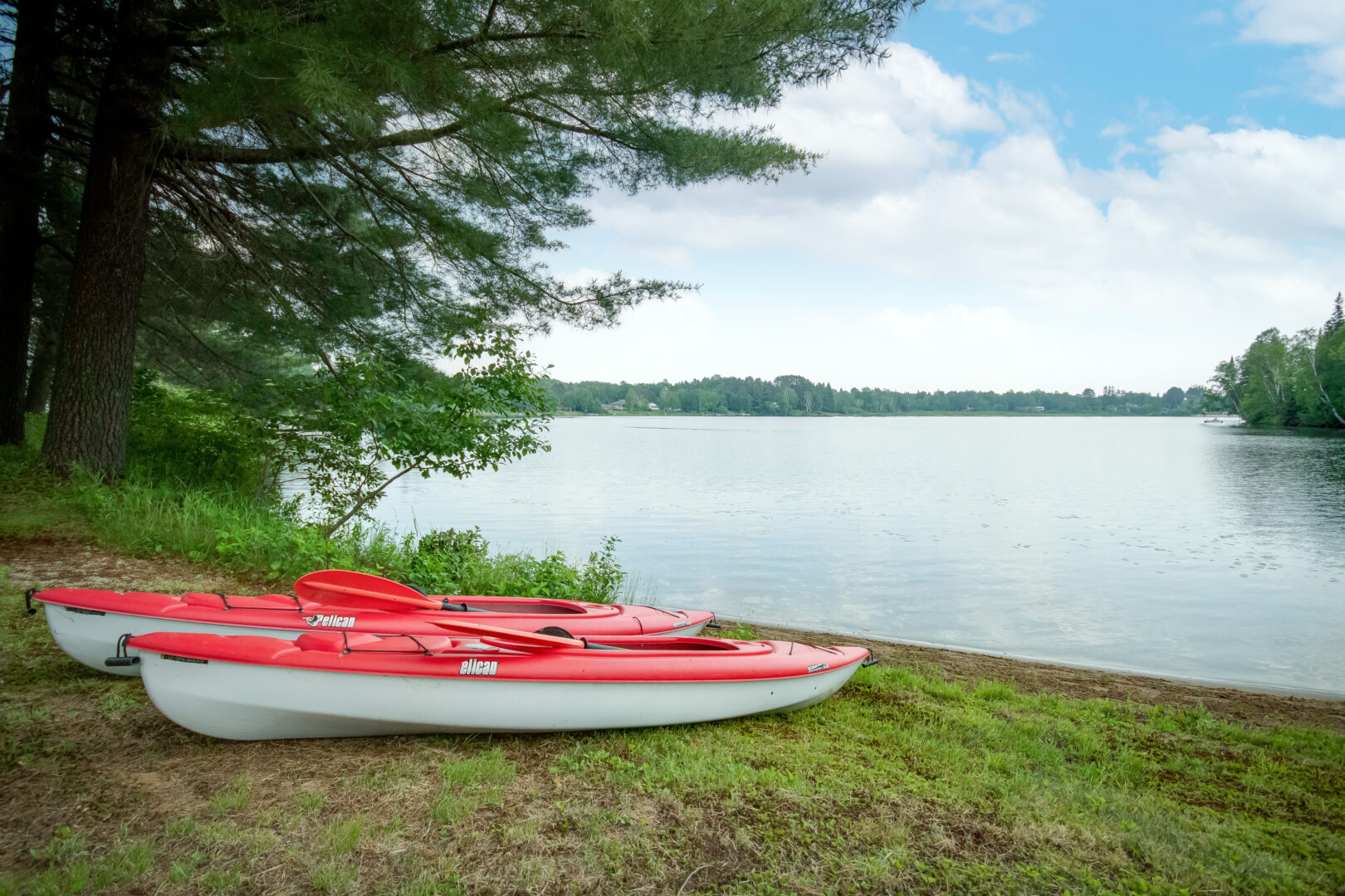 Two red kayaks sit on the grassy shore of a lake.