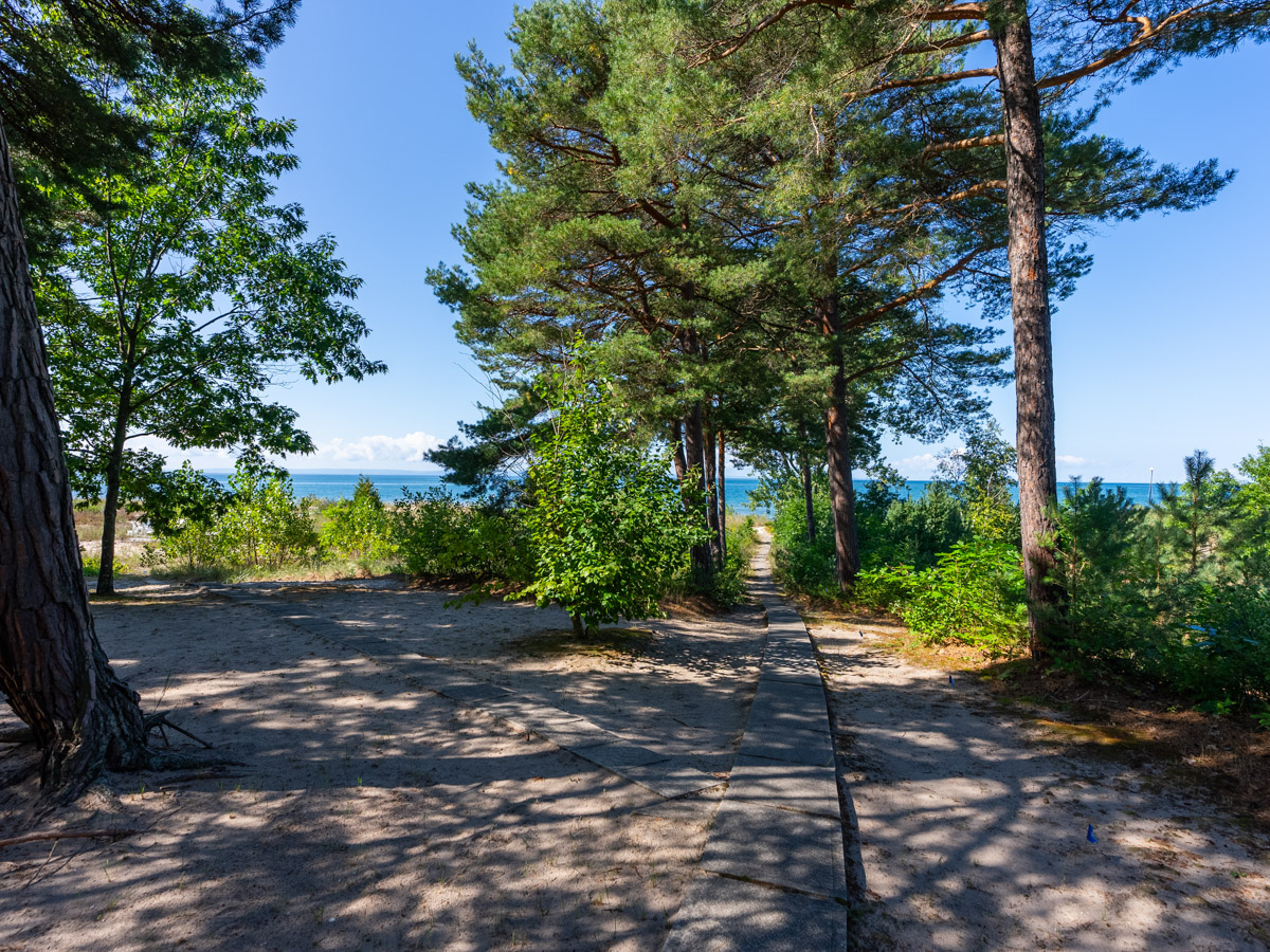 A wide, sandy area with two paths leading toward a beach, lined by green trees.