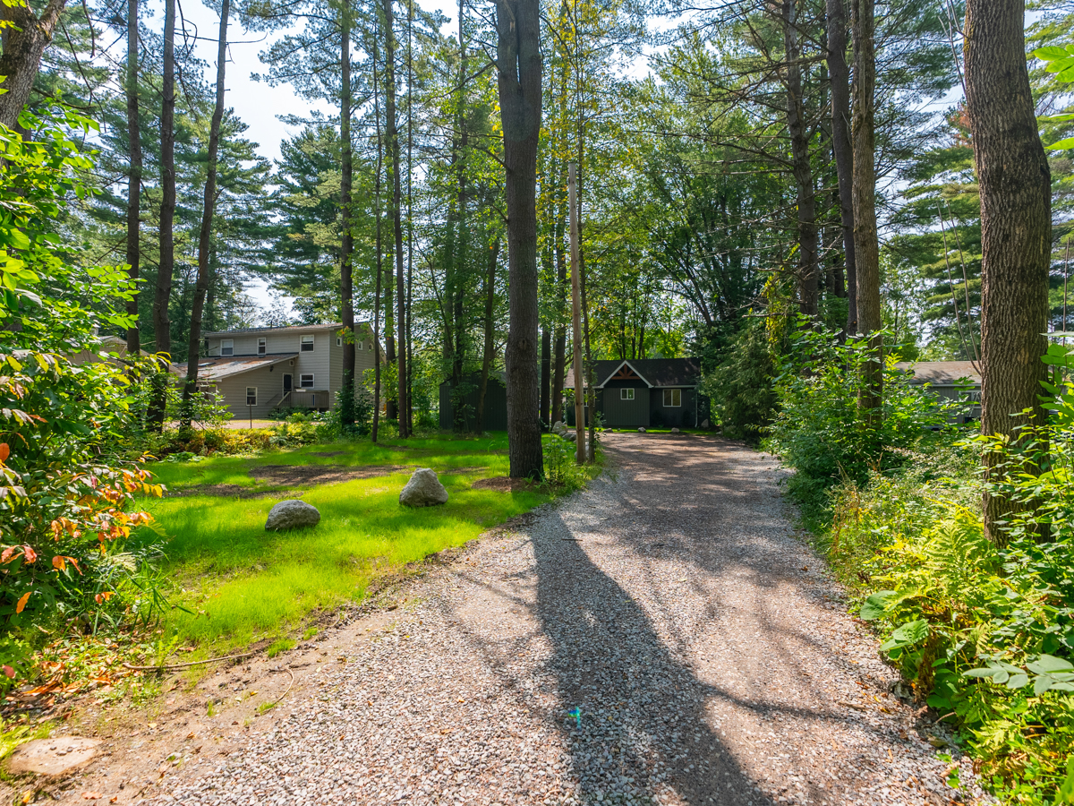 A long dirt road with tall trees on either side leads into a cottage property.