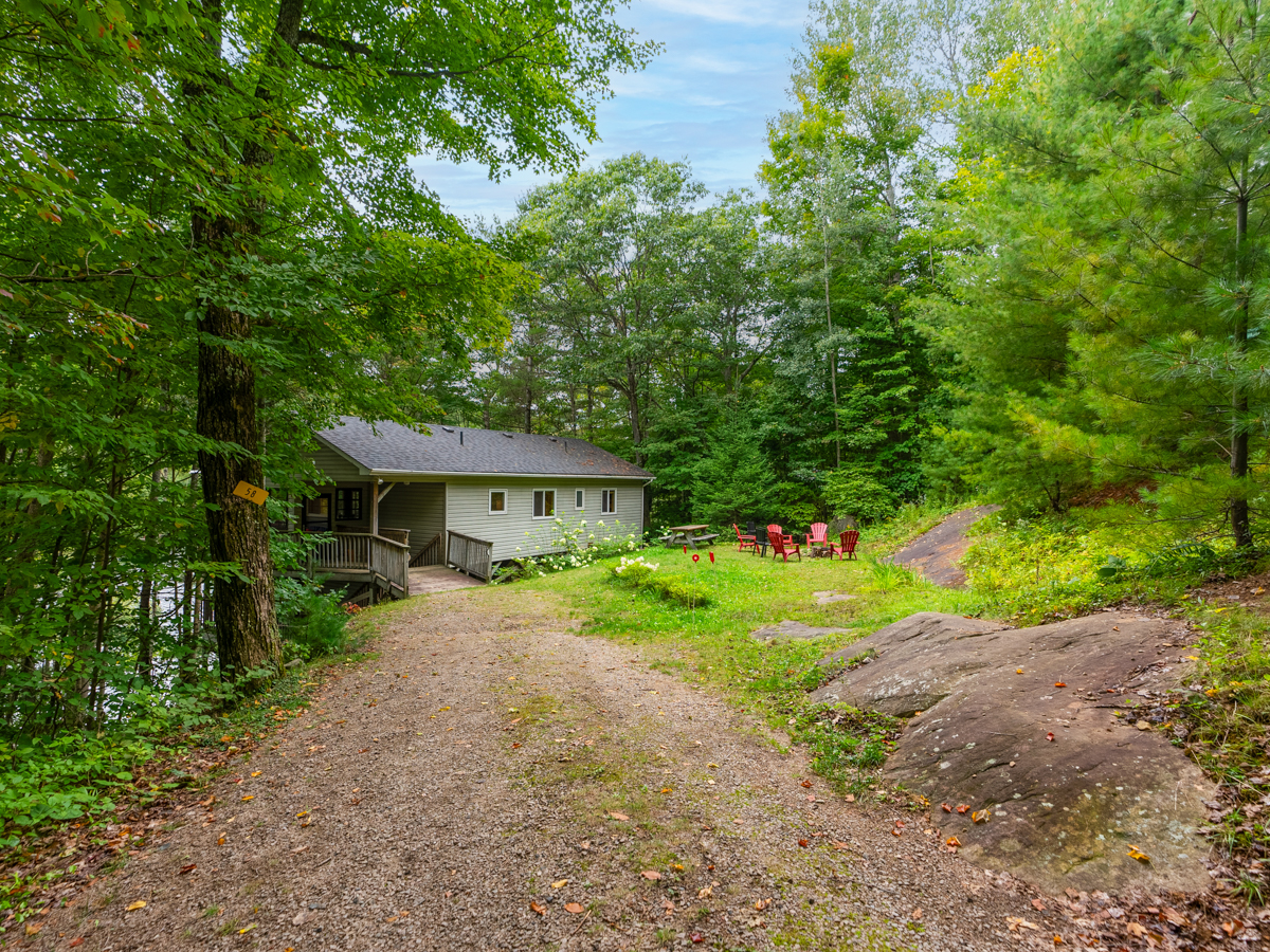 A long, wide dirt driveway leads to a cottage surrounded by green trees and grass.