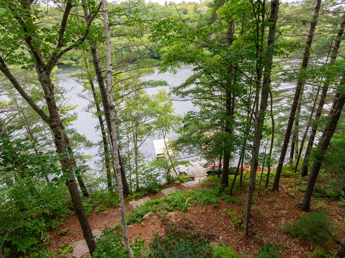 Overhead view of steps leading down through a tree-lined area to a lake.