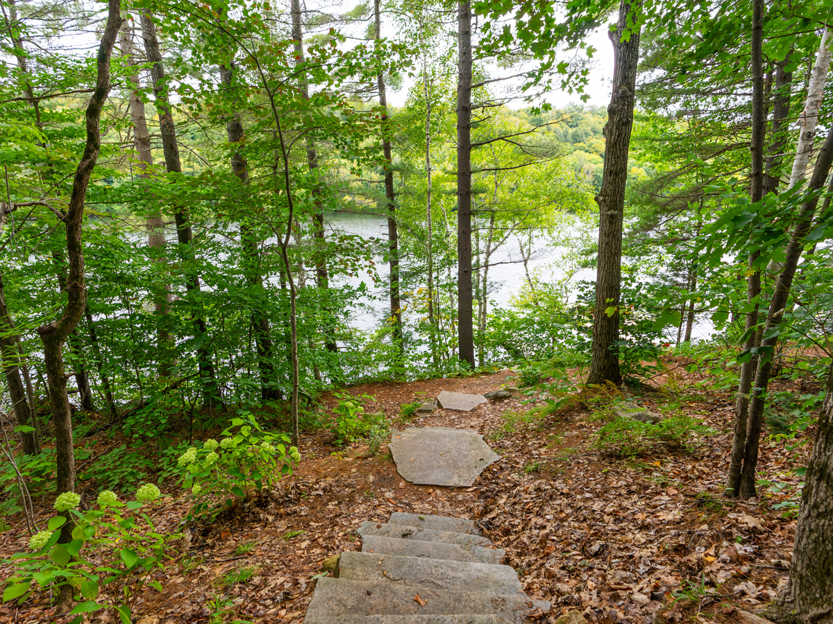 Stone steps lead down through a tree-lined area to a lakefront.
