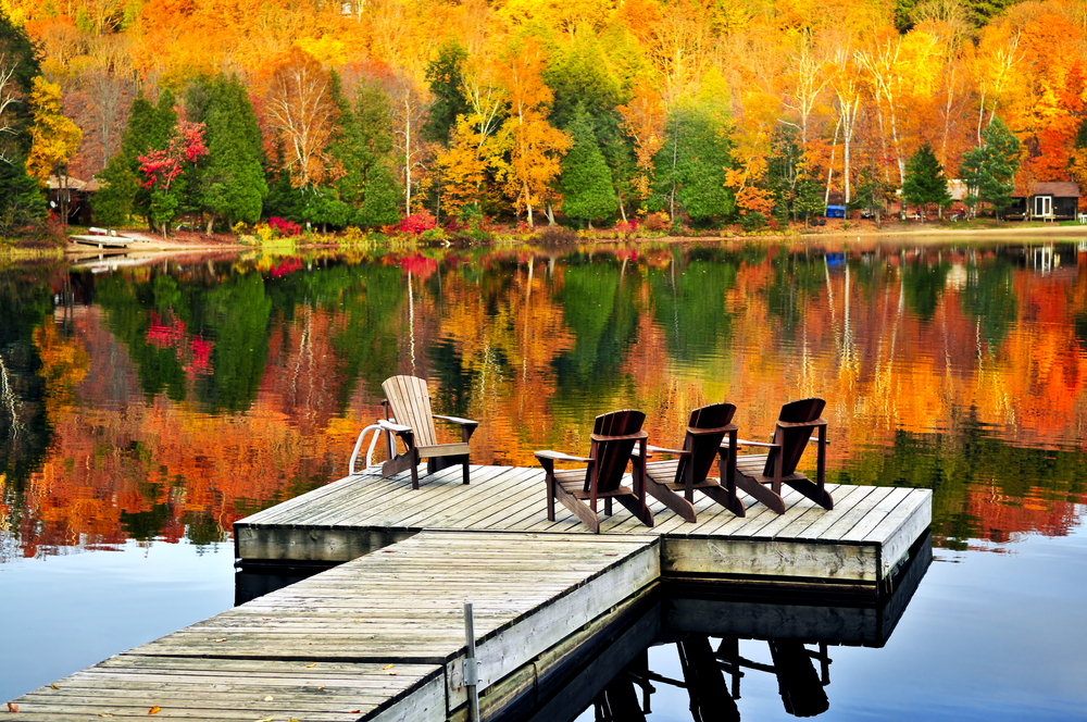 Fall at the Cottage