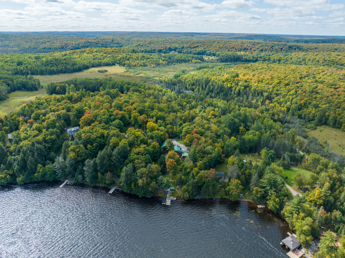 Overhead view of a lake shore lined with cottages and green trees.