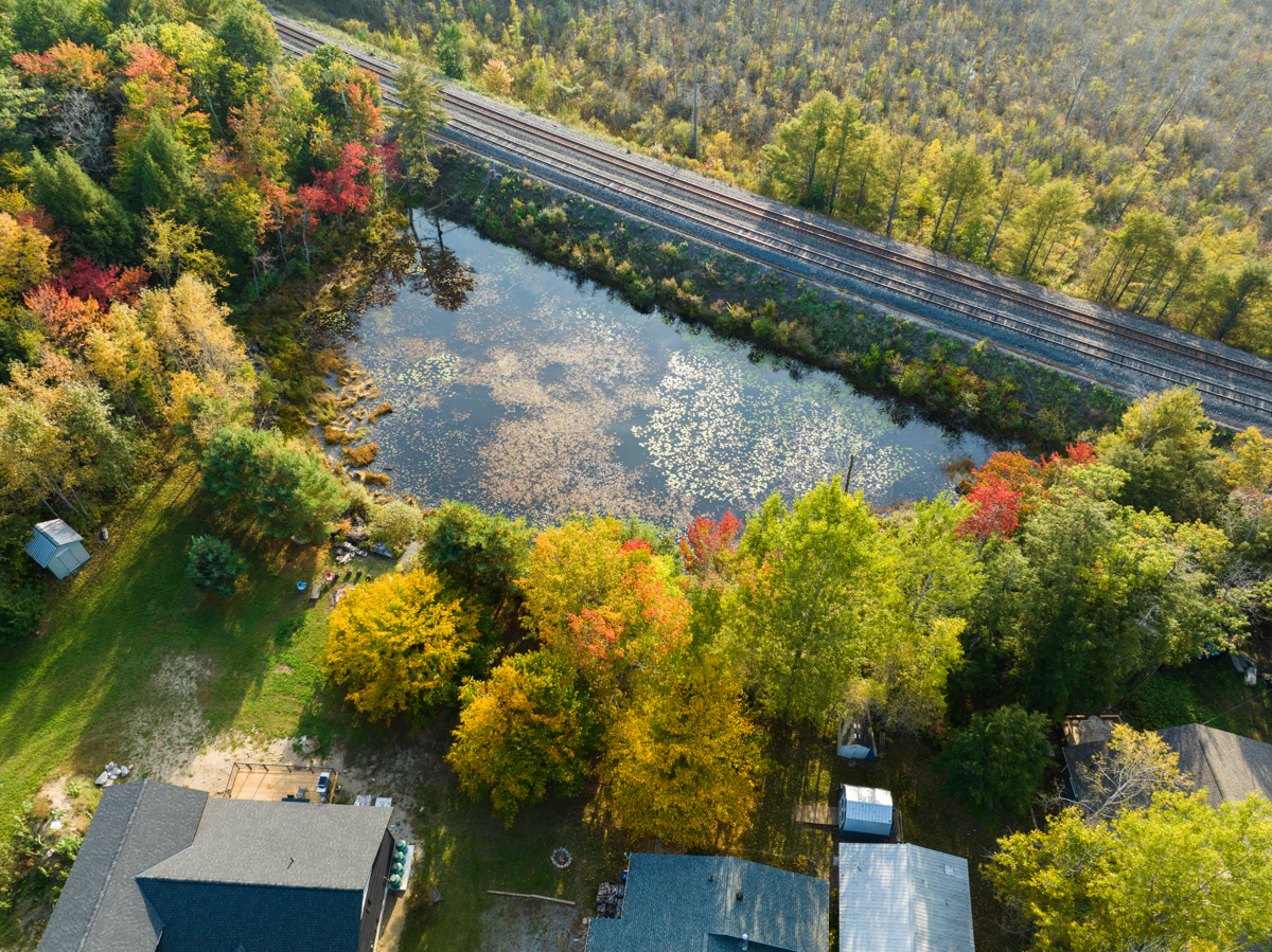A small pond and lots of trees, in the backyard of a cottage.