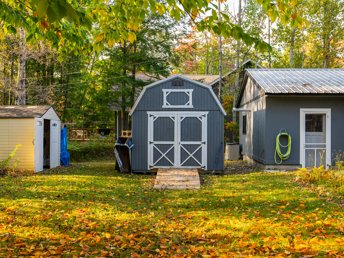 A blue and white shed sits in a yard.