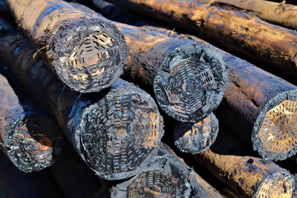Several logs treated with creosote