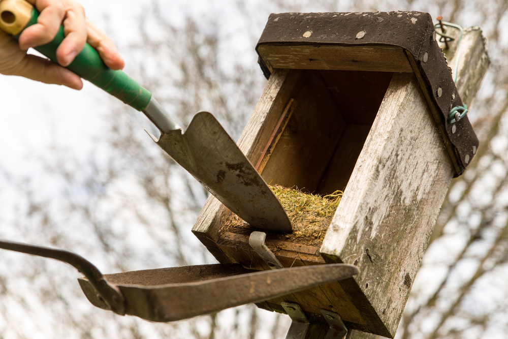 A hand removing a nest from a nest box using a trowel