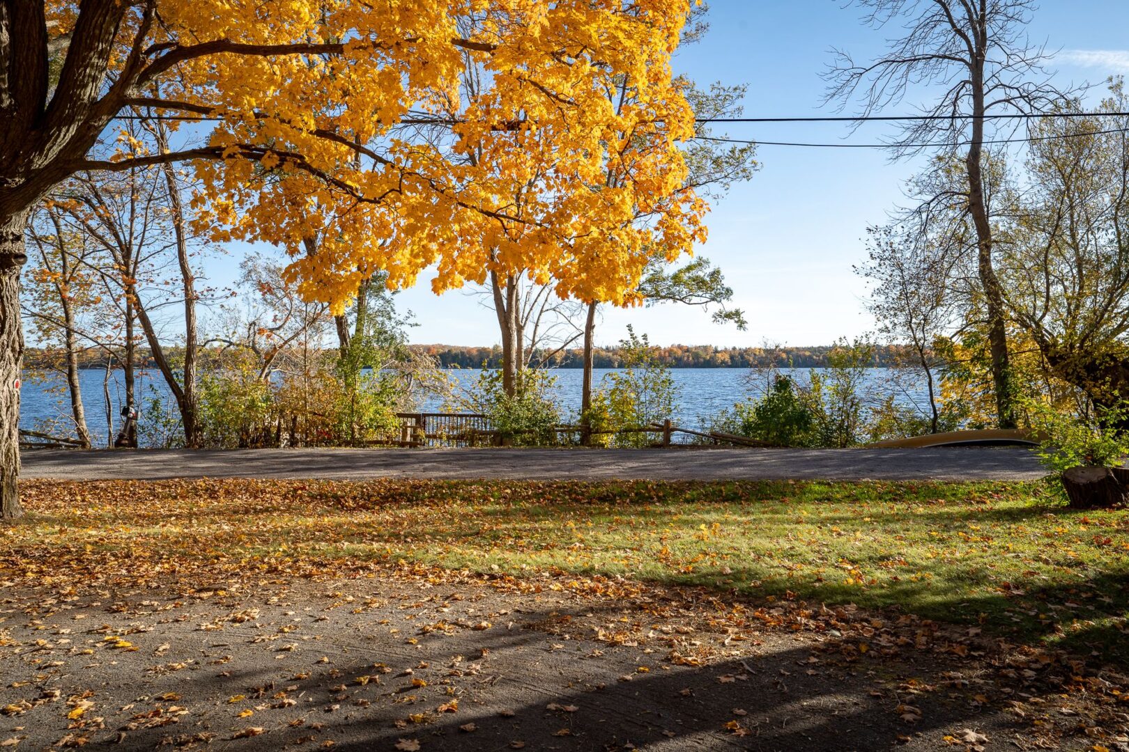 An open outdoor space trees and grass. Across the road is a stretch of blue lake.