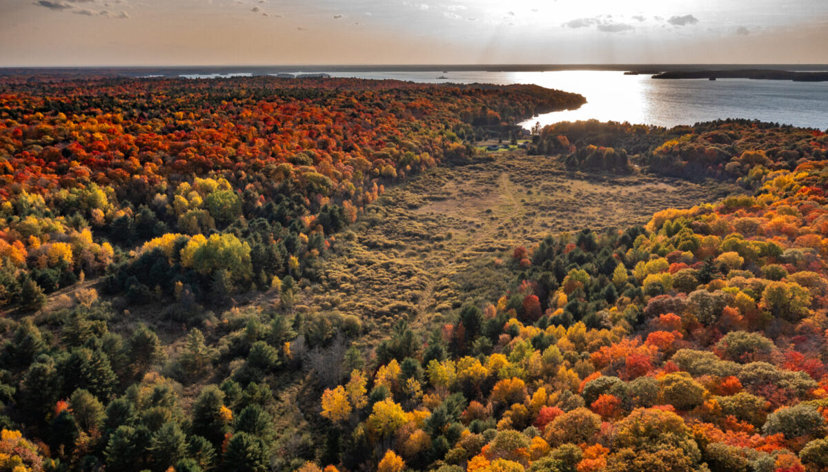 Drone shot of Muskoka Wetland near Bracebridge