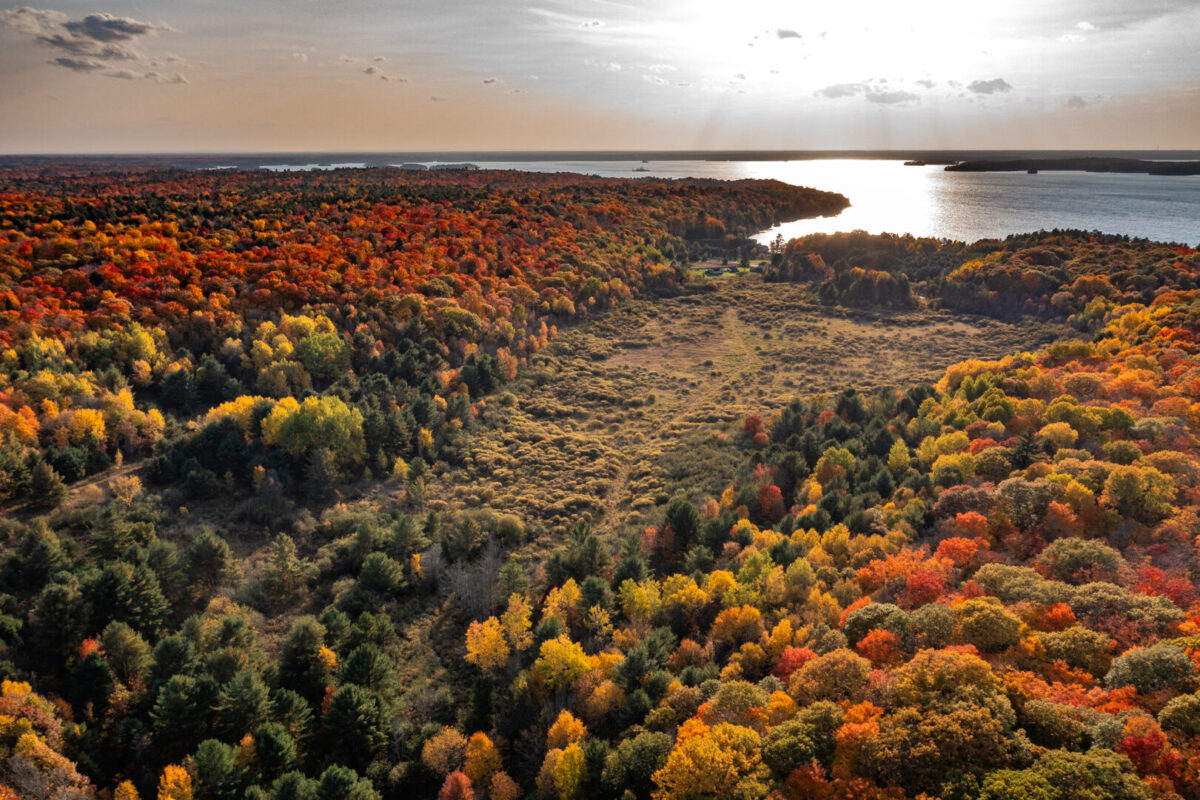 Drone shot of Muskoka Wetland near Bracebridge