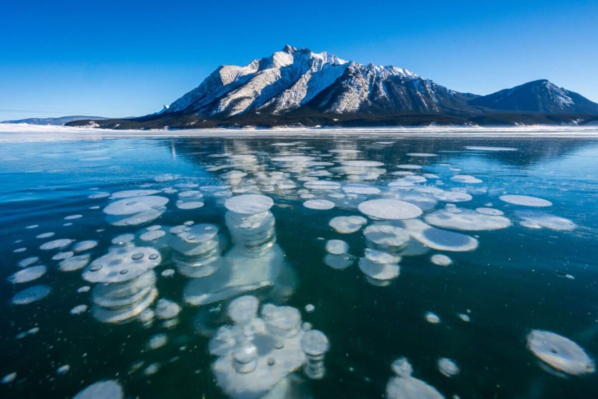 A photo of the Abraham Lake ice bubbles