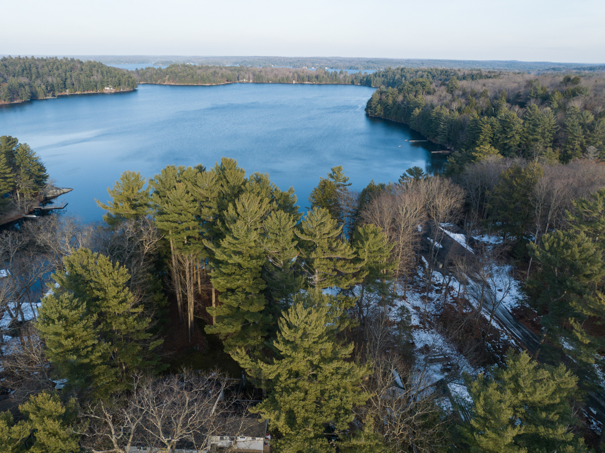 A stretch of blue lake extends beyond green trees.