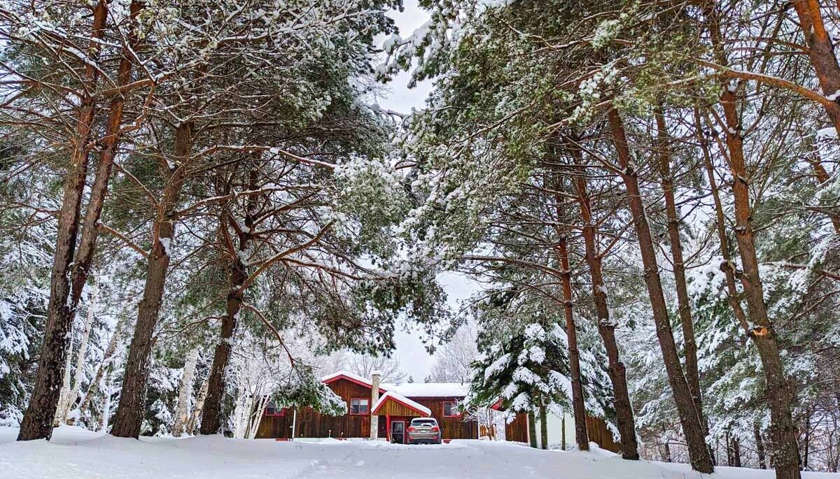 outside of kat wong's magnetewan cottage