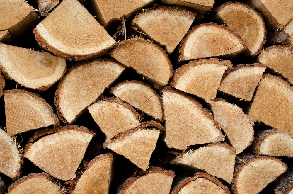 A stack of split firewood