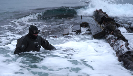 A scuba diver investigating a huge timber
