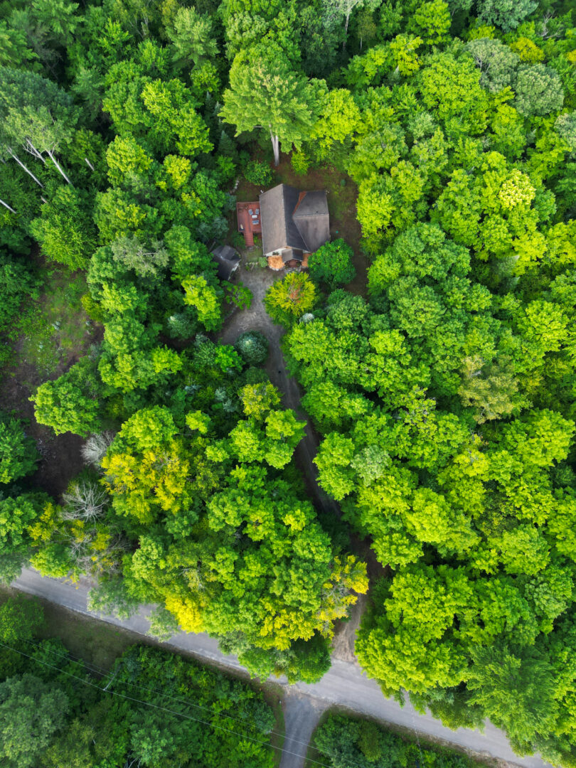 Aerial view of a small cottage surrounded by green trees, just inland from a rural road.