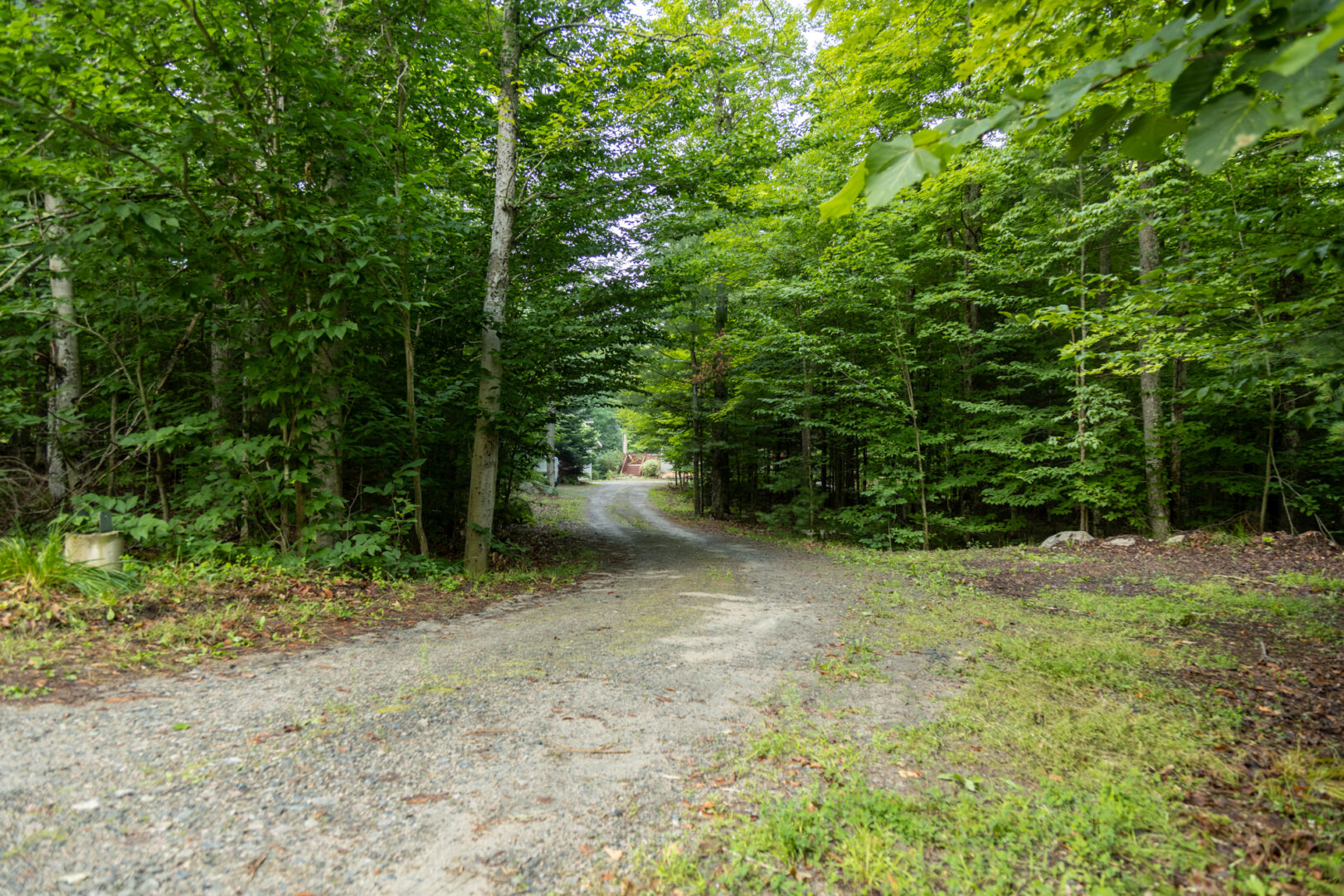 A long dirt and gravel driveway leading to a cottage, surrounded by green trees.