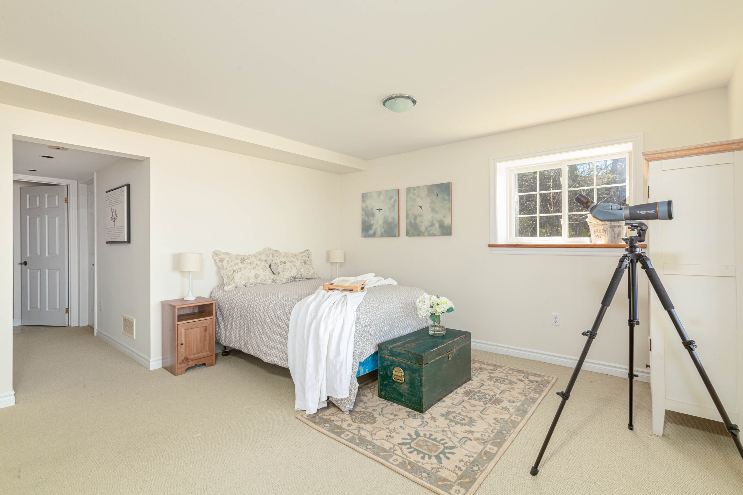 A large bedroom with carpet flooring, a bed, and a telescope.