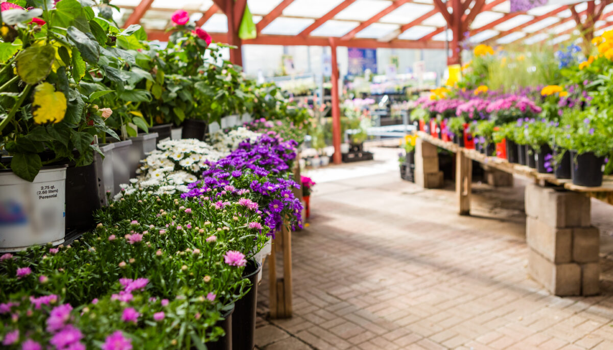 a photo of a garden centre