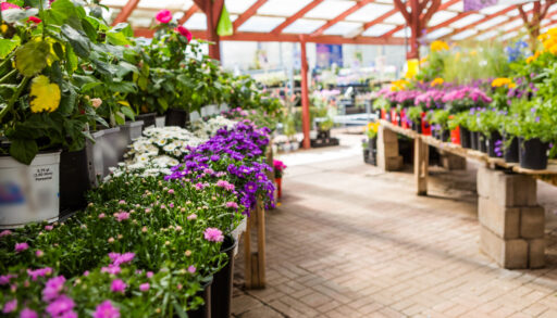 a photo of a garden centre