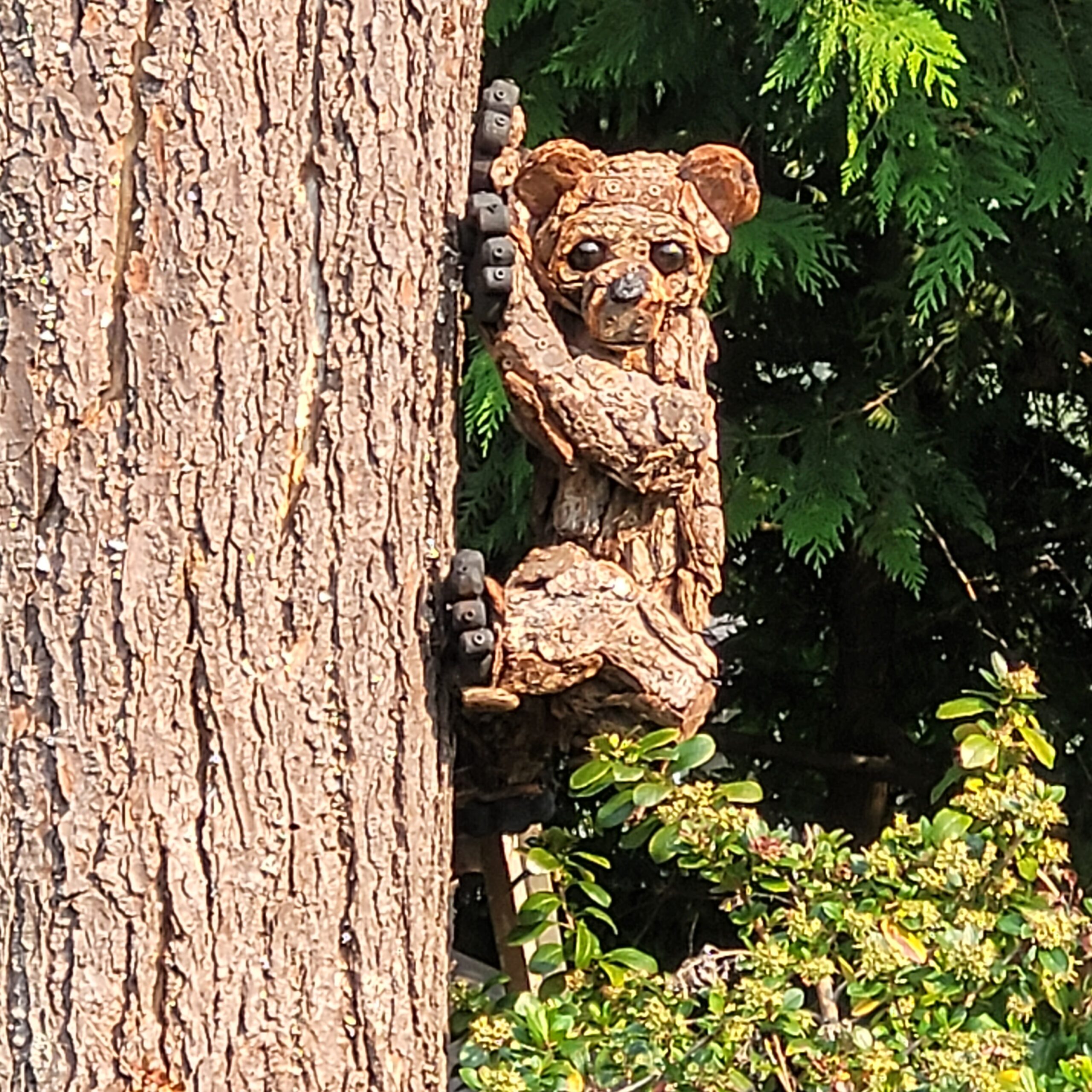 a driftwood sculpture of a small bear cub