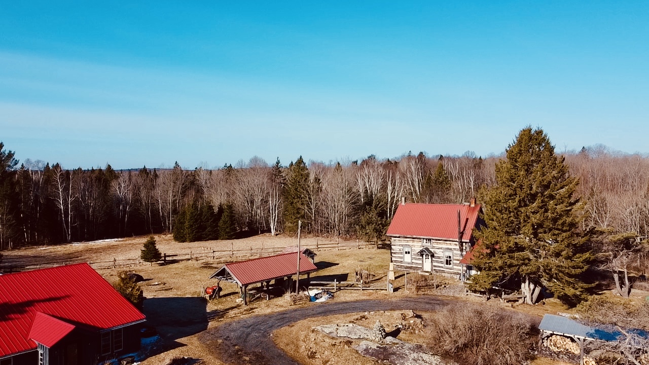 A large property in a big field that backs onto a wooded area. A driveway curves around in a loop, in front of a main house and another house, both with red roofs.