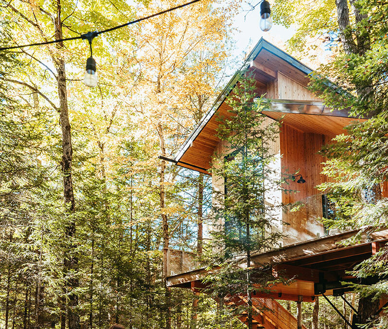 Lauren, Cam, and their kids stand around a fire in front of their treehouse cabin