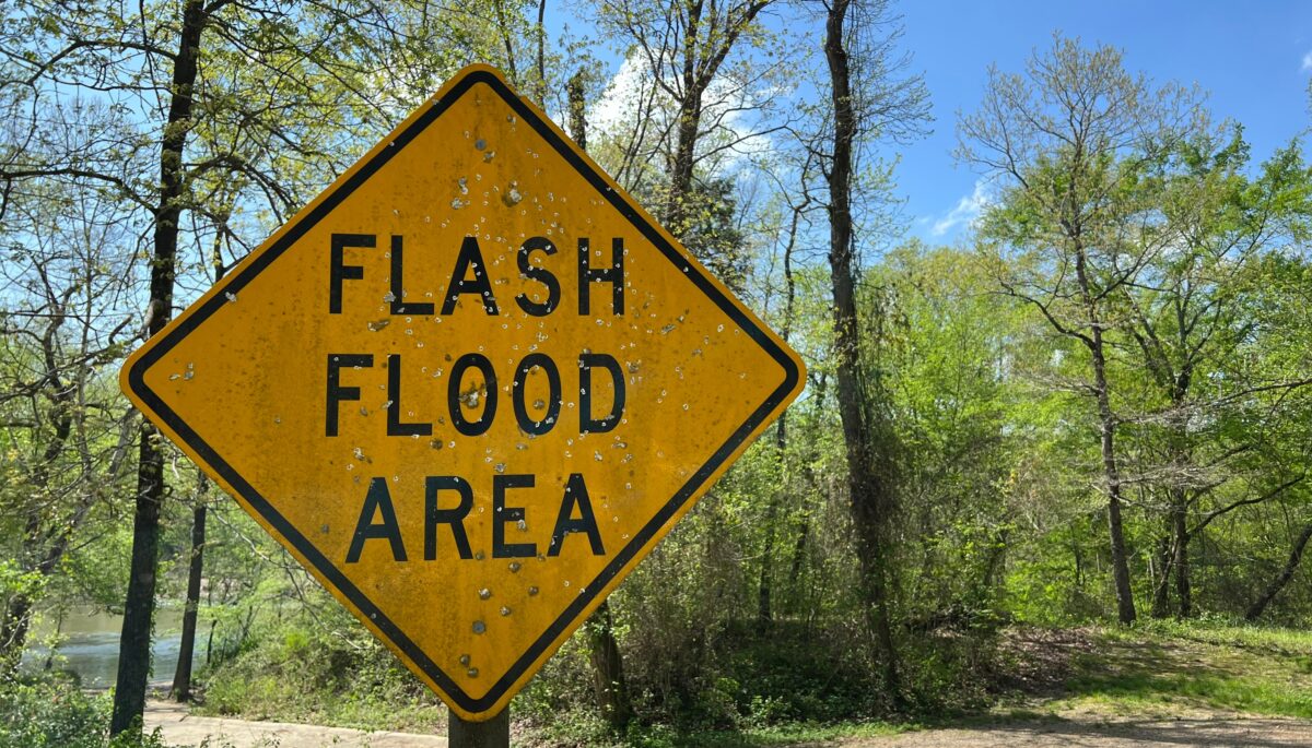 A sign that reads "flash flood area" in front of a forest area