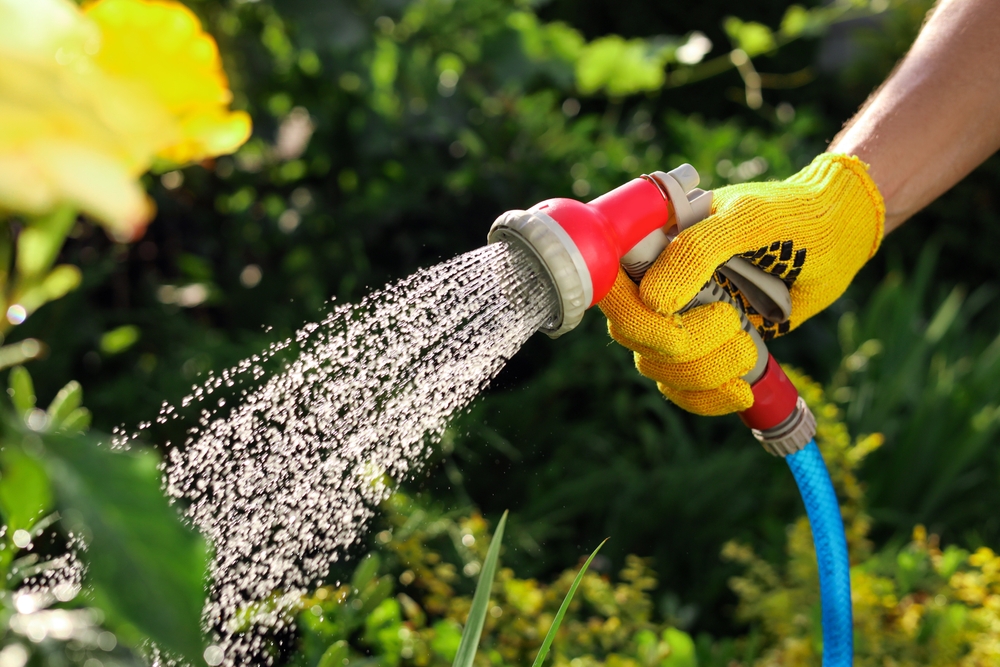 A man's gloved hand holding a hose and watering the garden