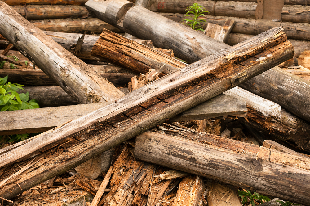 A random pile of wood