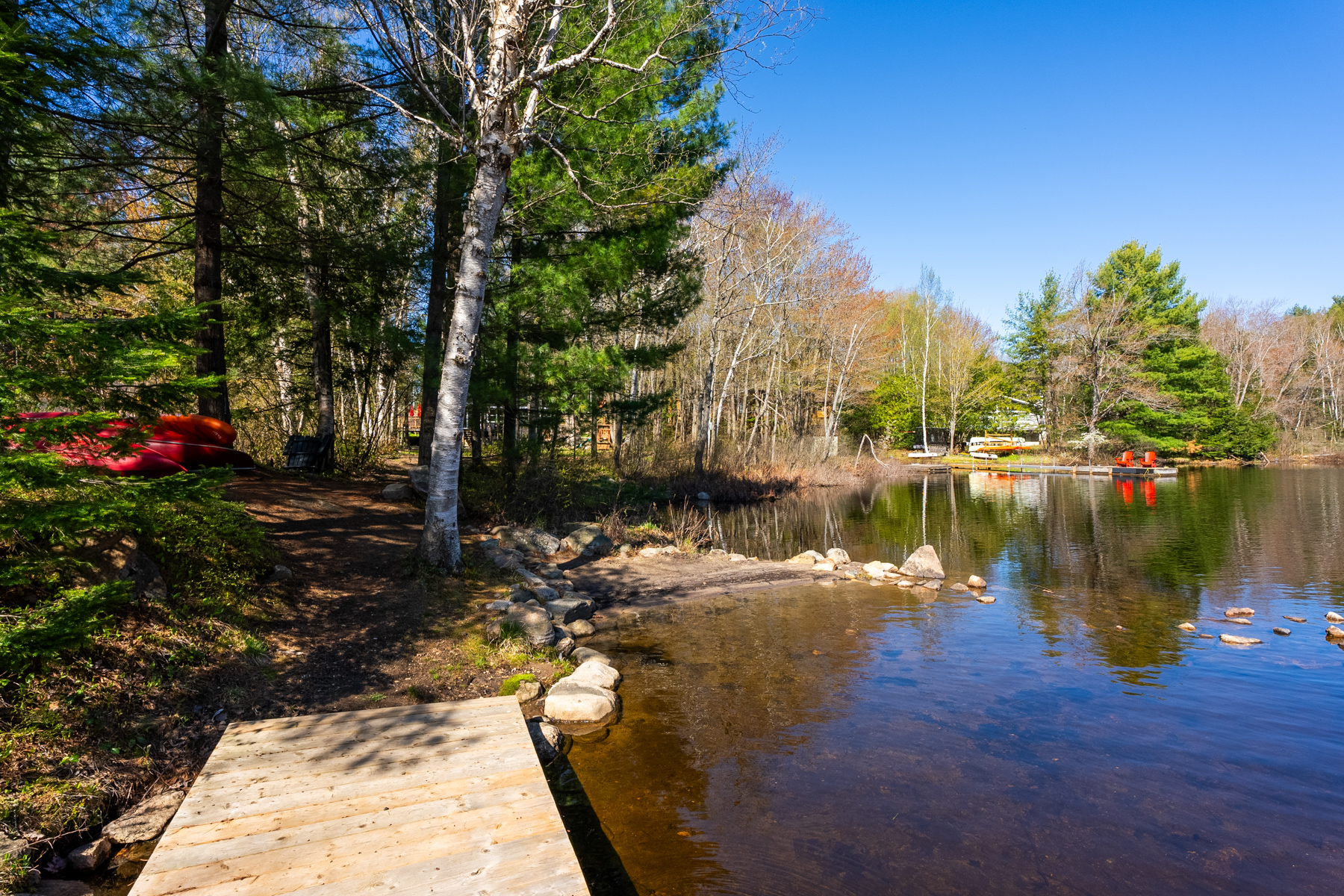 View from a wooden dock toward the shoreline. The water is shallow, and lots of trees line the shore.