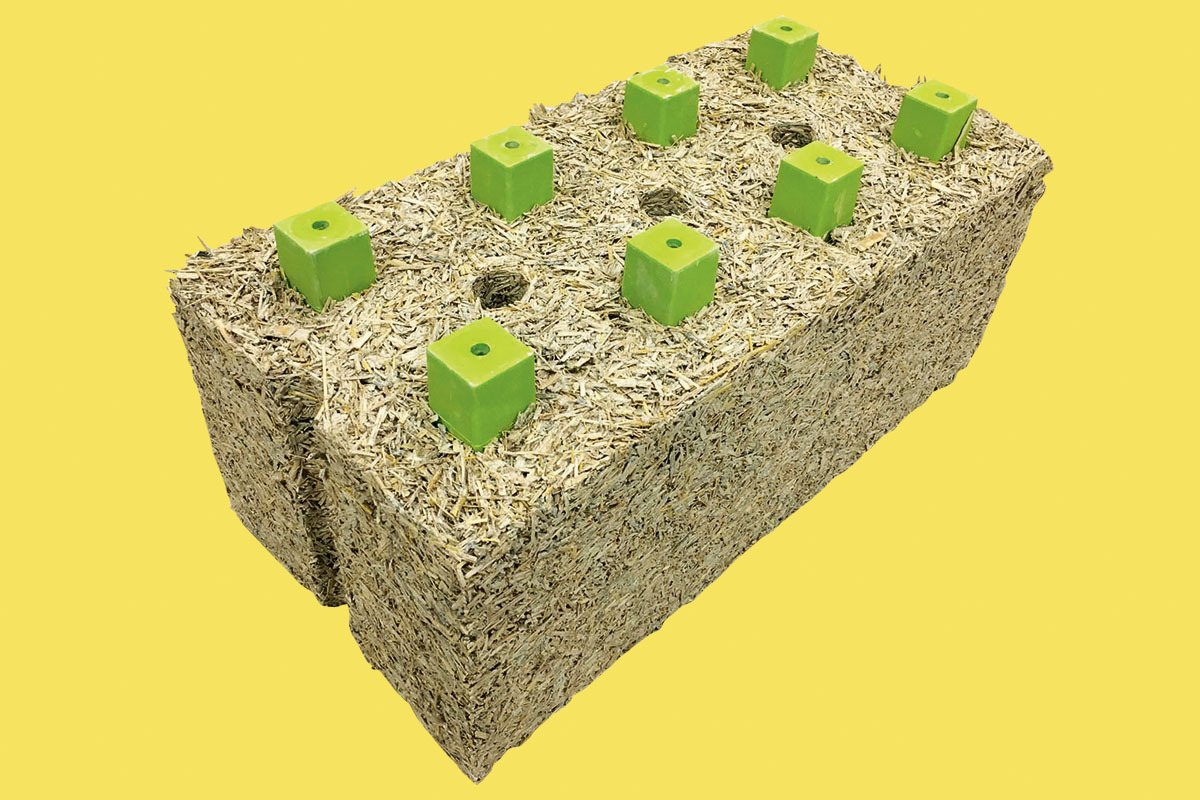 A brick of hempcrete