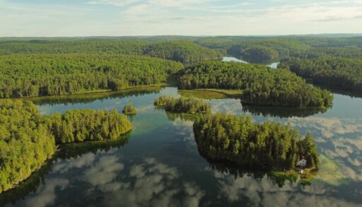 Aerial view of a series of forested islands covered in thick green trees