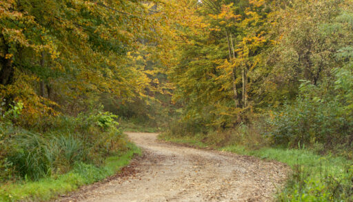Dirt Road