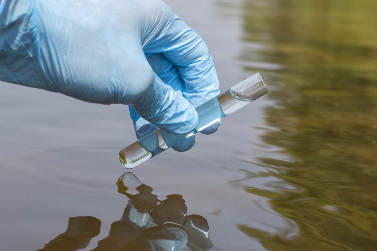 A blue-gloved hand takes a glass sample of water from brown-green water