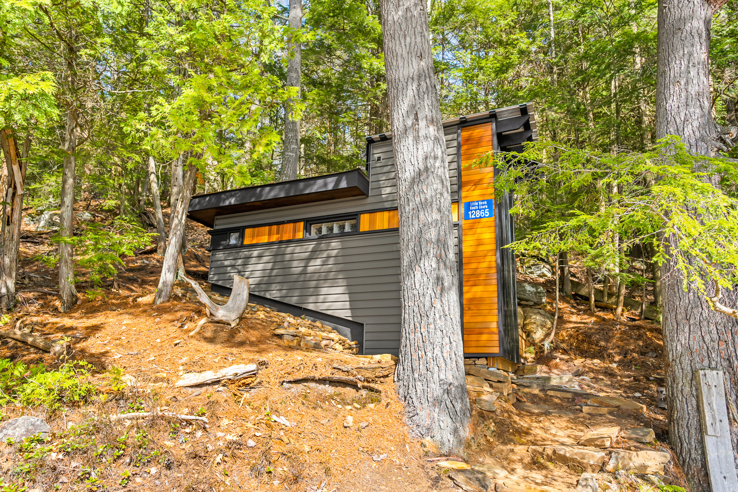 The dark grey panelled and natural wood sauna