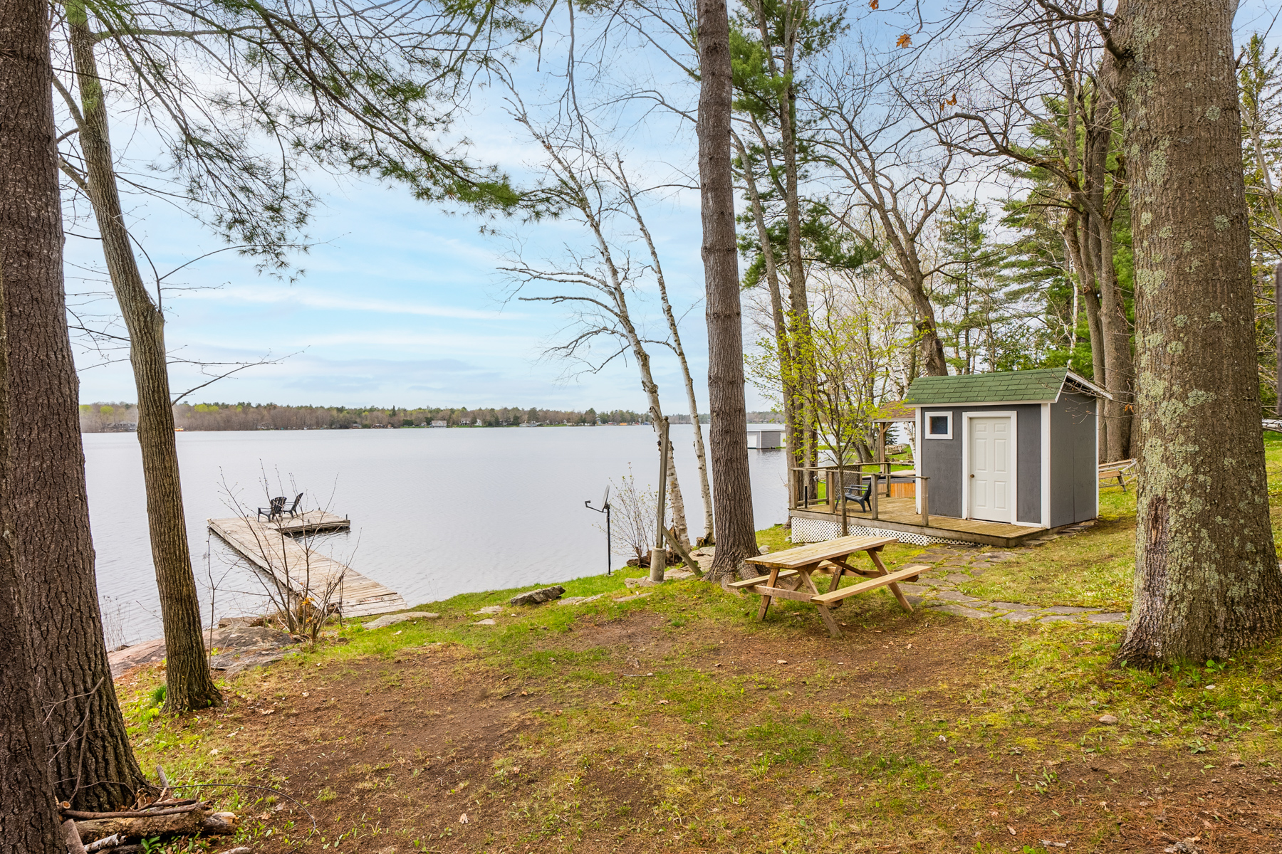 Sparse, tall trees line a path down a grassy area toward the shore of a lake. A long wooden dock extends into the water from the shore.