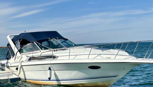A white boat in the water