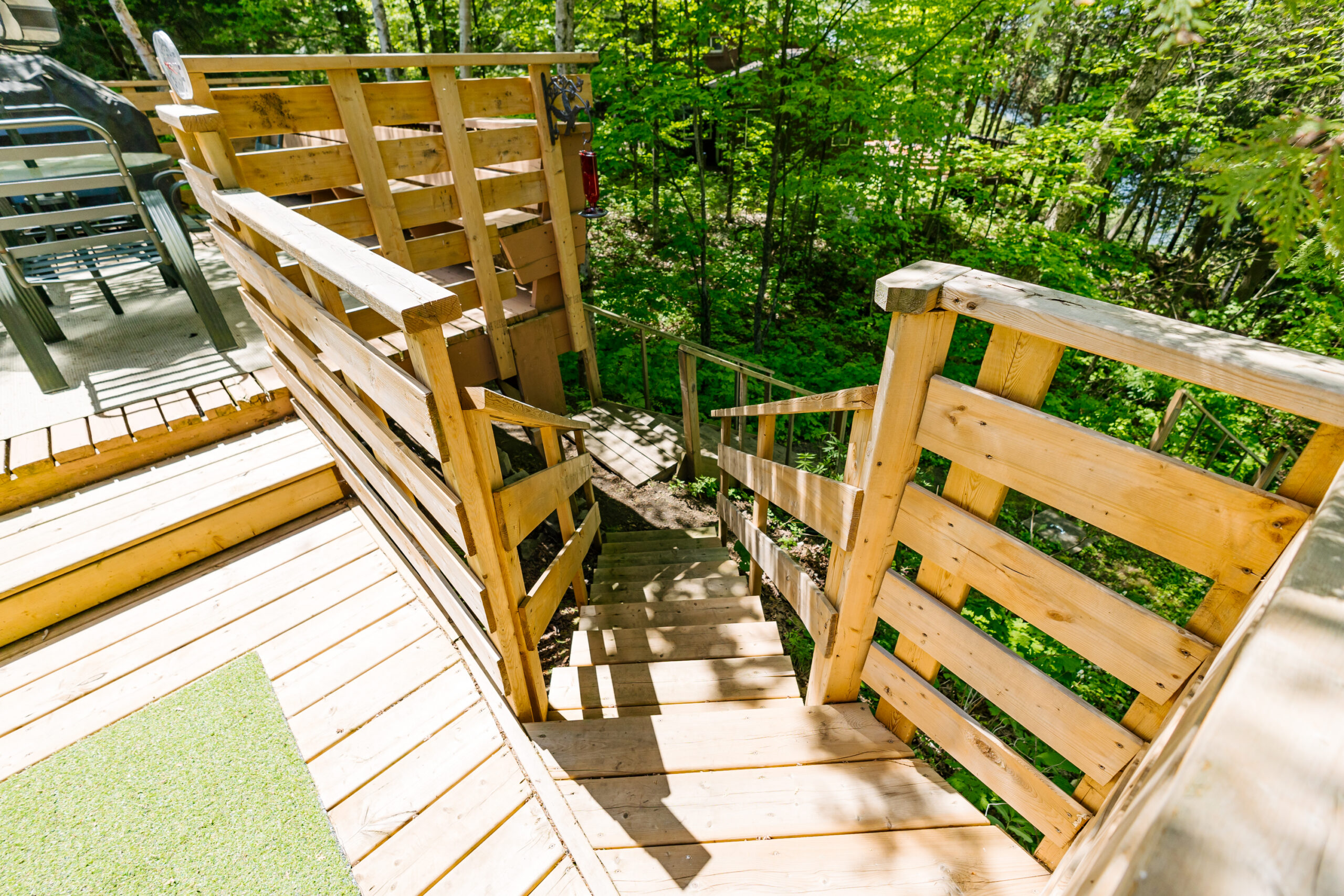 Light brown wood steps lead into the forst