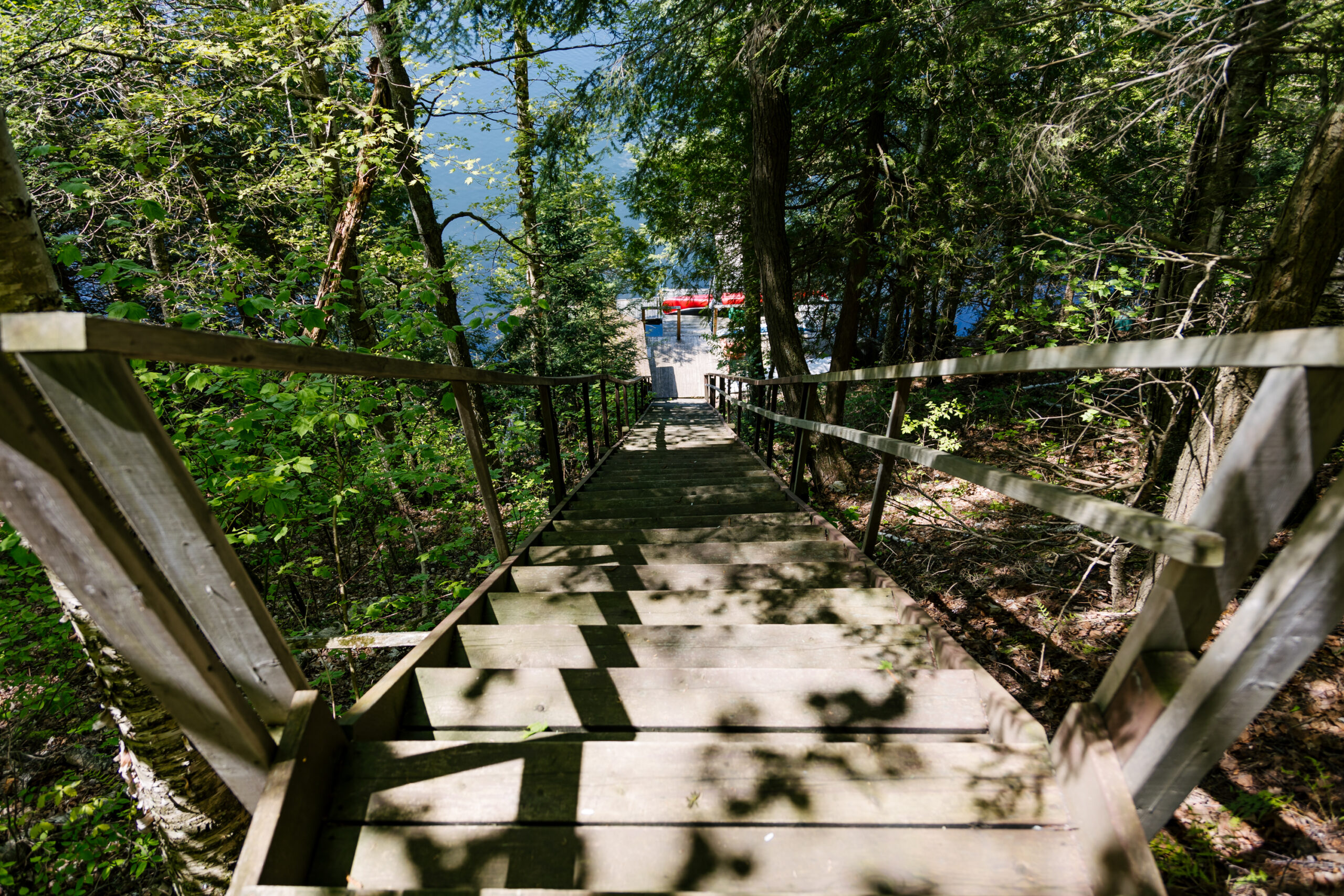 Stairway lined by trees leads down to the dock